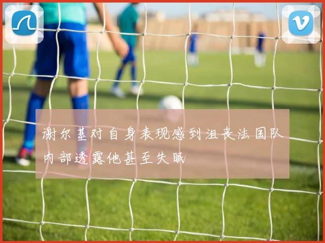 谢尔基对自身表现感到沮丧法国队内部透露他甚至失眠